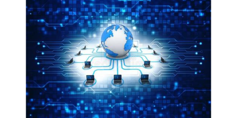 金山區網絡技術開發 優質服務，量大從優